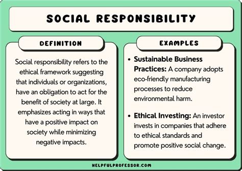examples of social responsibility in schools