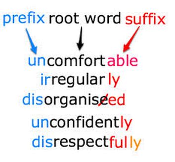 examples of words that contain a prefix root word and suffix