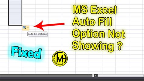 excel auto fill options not showing