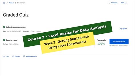 excel basics for data analysis coursera answers