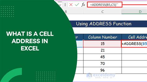 Anatomi Cell Excel