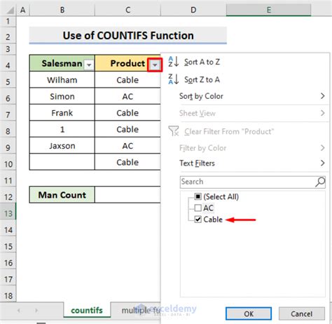excel count cells with text in filtered list