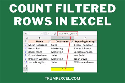 excel count number of cells with text after filter