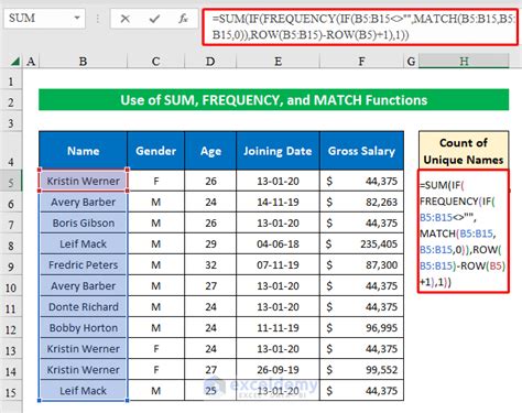 excel count unique names in a list