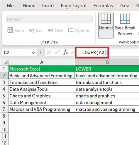 excel custom format capitalize first letter