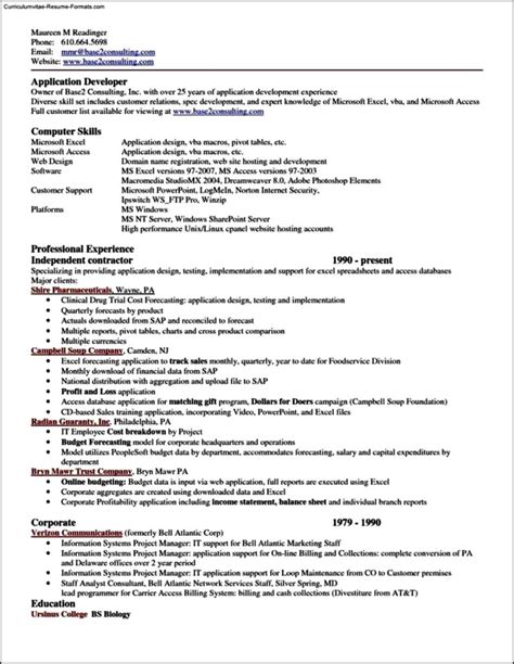 excel cv example
