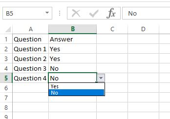 excel data validation formula yes or no