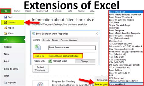 excel file name extension