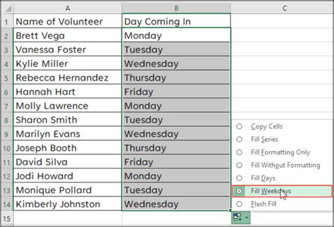 excel fill weekdays not working