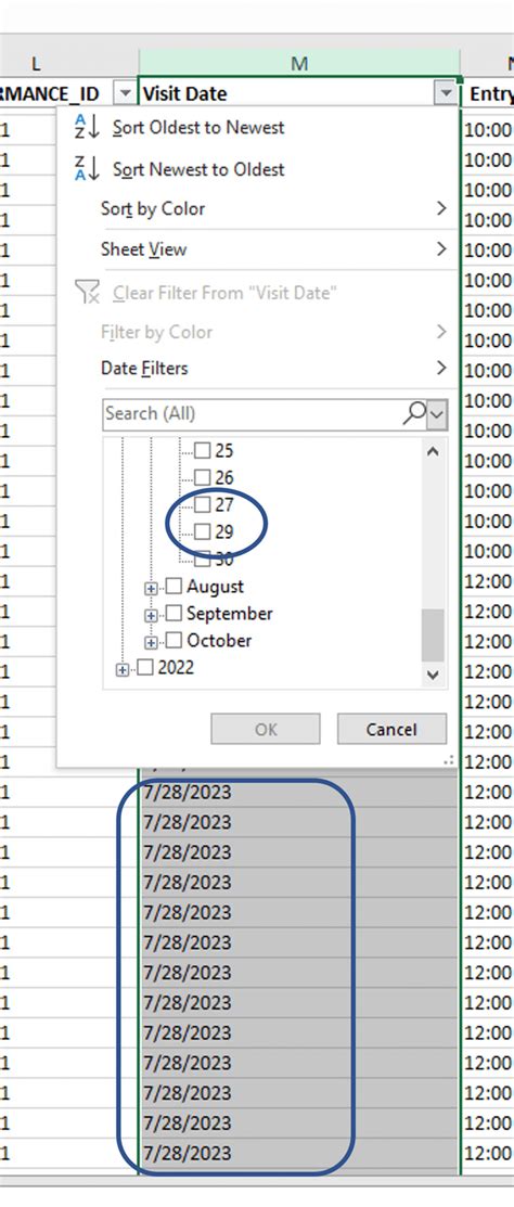 excel filter not showing any options