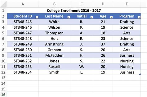 excel sample data table