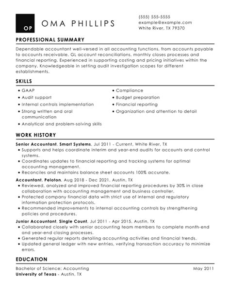 executive summary for accountant resume examples