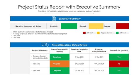 executive summary project status report template