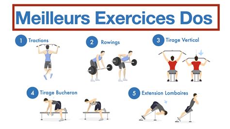 exercice pour le dos basic fit