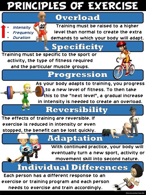 exercise definition in physical education