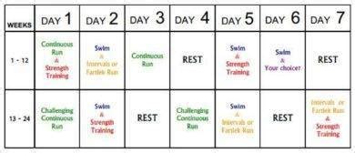 exercise program plan example