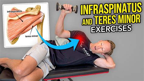 exercises for infraspinatus and teres minor