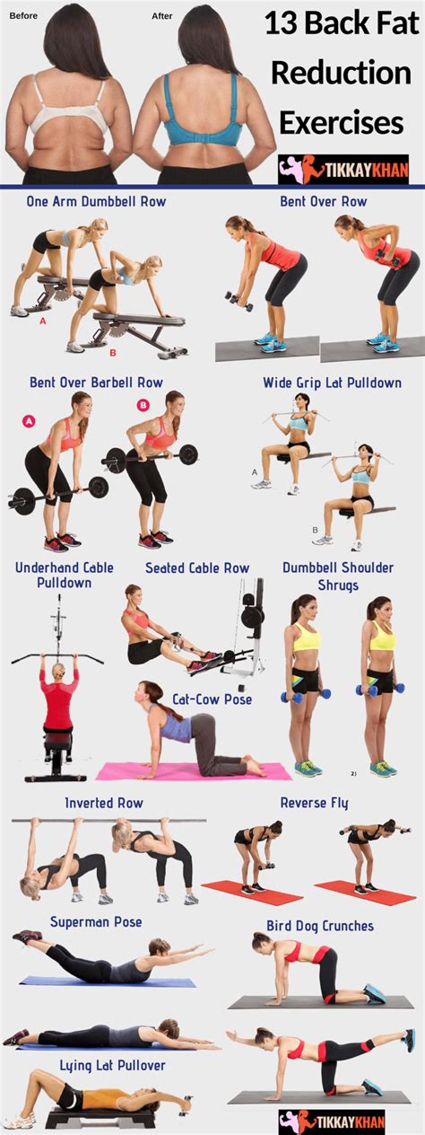 exercises for low back fat