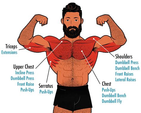 exercises that target pectorals