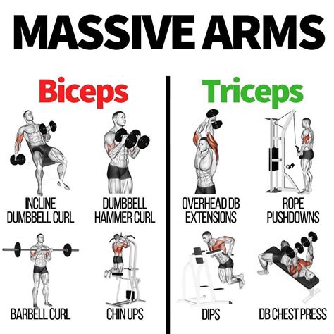 exercises that work both biceps and triceps