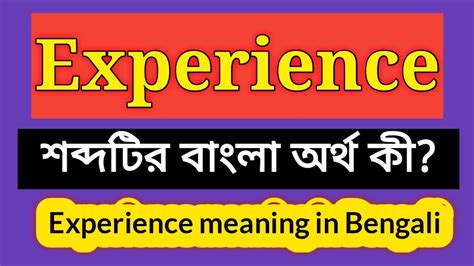 experience meaning in bengali with example