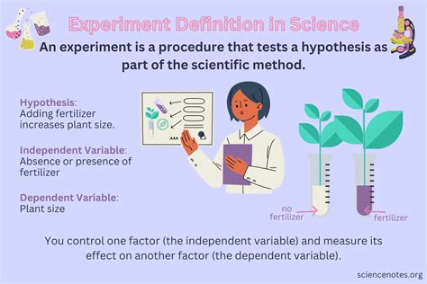 experiment meaning example