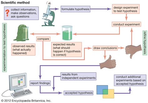 experiment steps example