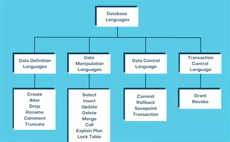 explain all the types of languages of database in dbms