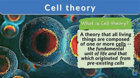 explain cellular concept with necessary figures