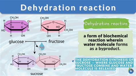 explain dehydration synthesis using a diagram