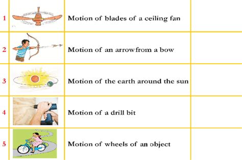 explain different types of motion with examples class 7