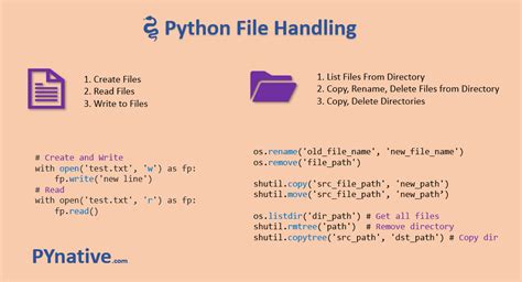 explain file handling in python with examples of reading and writing files