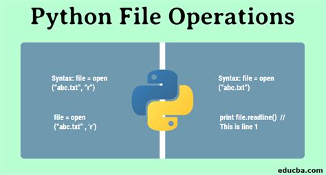 explain file operations in python