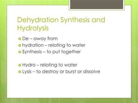 explain how dehydration synthesis and hydrolysis are related