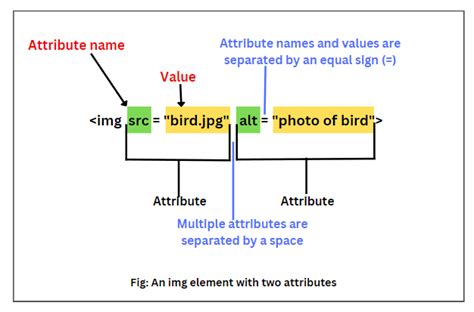 explain html form tag with its all attributes with example