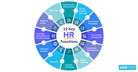 explain key functions of information management