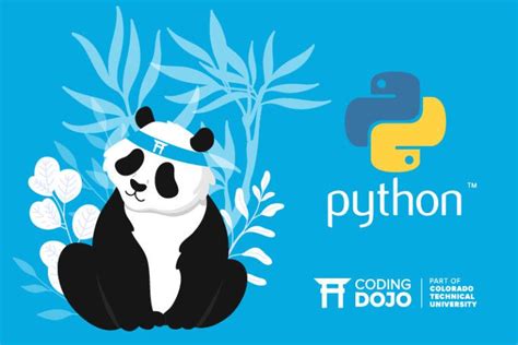explain pandas in python
