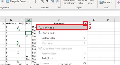 explain sorting and filter in ms excel in hindi