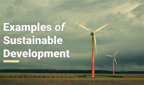 explain sustainable development with example class 10