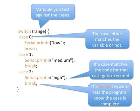 explain switch case statement