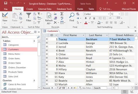 explain the elements of a table in ms access database class 8