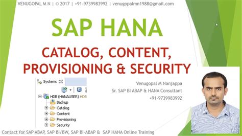 Explain The Objects In Catalog Folder In Hana