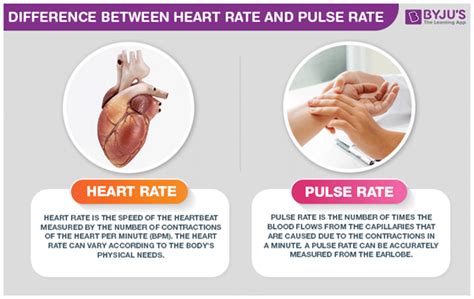 explain the term pulse rate