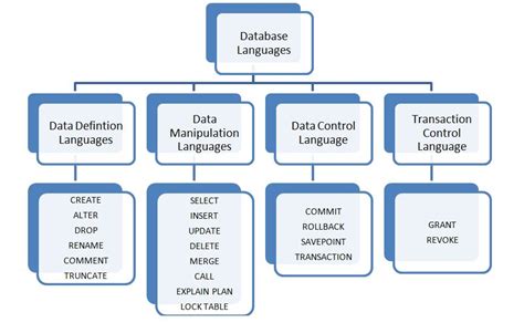 explain the types of database languages