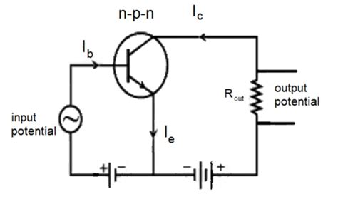 explain the working of npn transistor as an amplifier