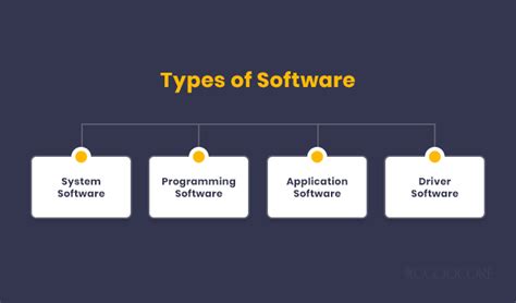 explain two types of software with examples