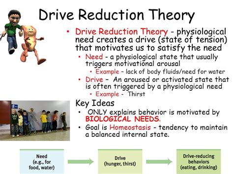 explain with an example what is meant by drive reduction behavior
