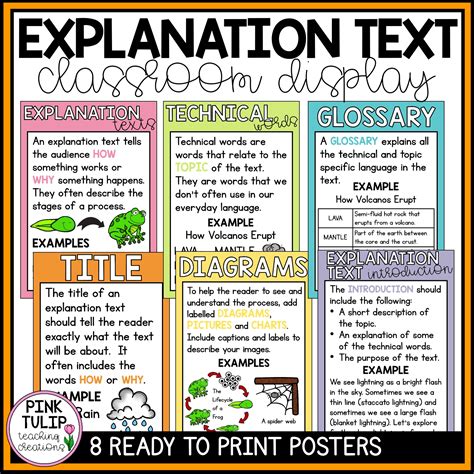 explanation text examples year 3