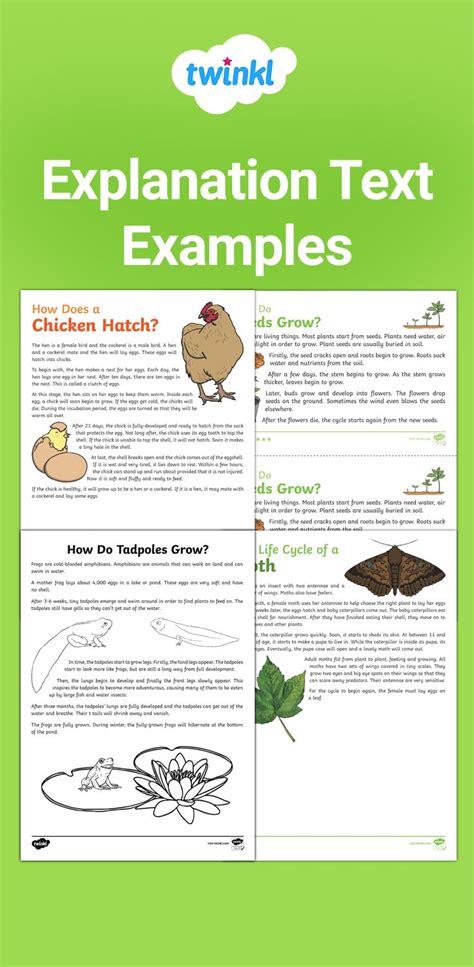 explanation text examples year 4