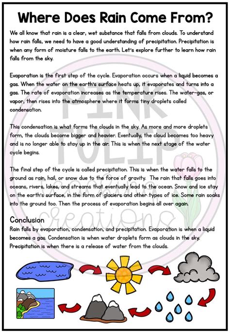 explanation text examples year 5 pdf